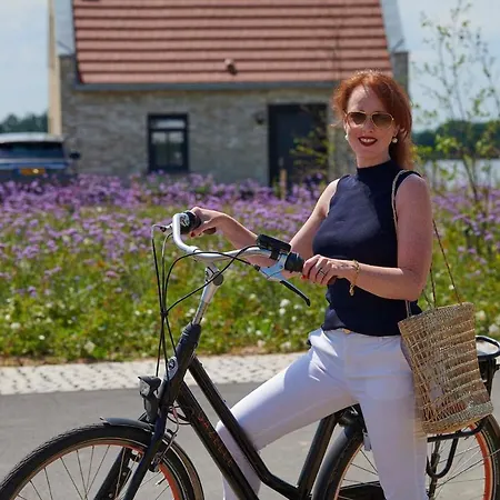 מלון דירות Parc Maasresidence 4*